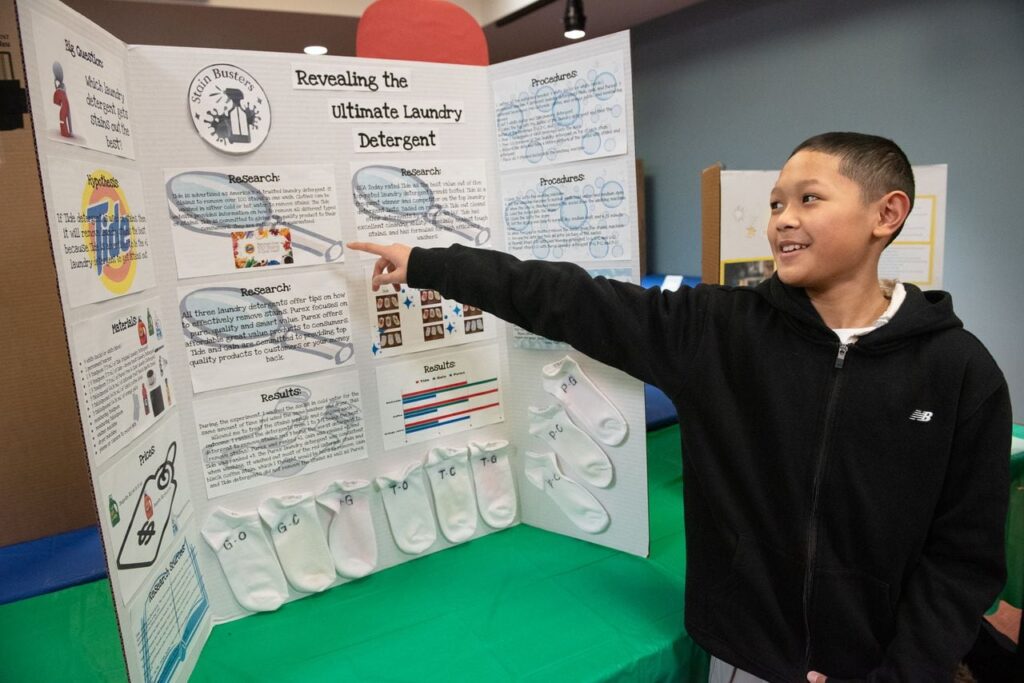 Which Detergent Removes Stains the Best Science Fair Project